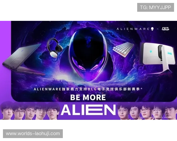 专业玩家首选的老虎机真人平台有哪些值得长期合作的品牌